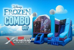 DISNEY FROZEN 2 (Dry)