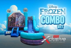DISNEY FROZEN 2 (Wet)